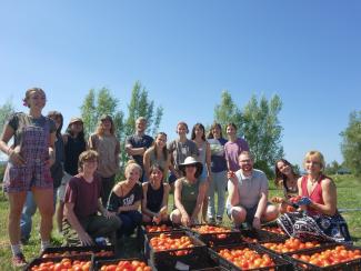 AN ENVS class with a tomato harvest